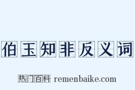 伯玉知非反义词是什么意思的图片